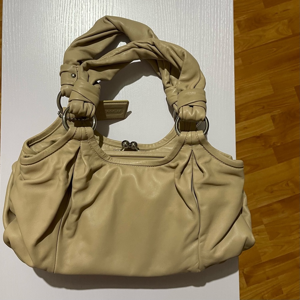 Coach's Version of Bottega Veneta Shoulder Pouch